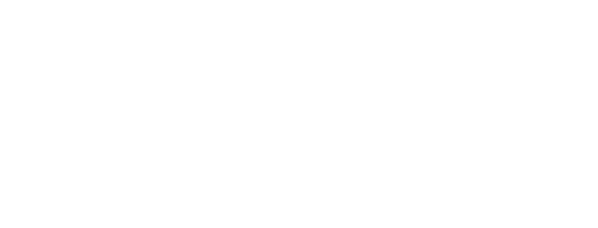 Von Veh & Associates